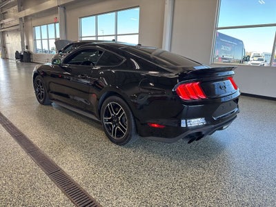 2019 Ford Mustang GT